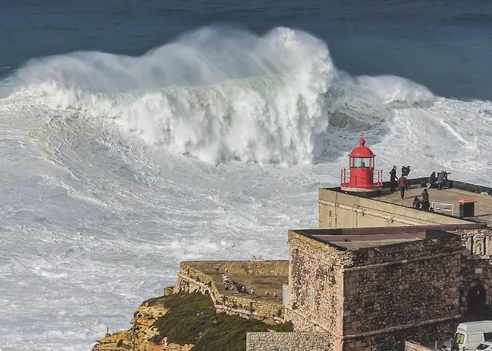 7 Saias - Centro Konukevi 3*